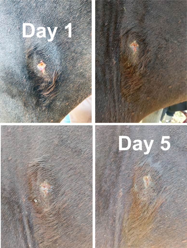 Testimonials G&R Traders