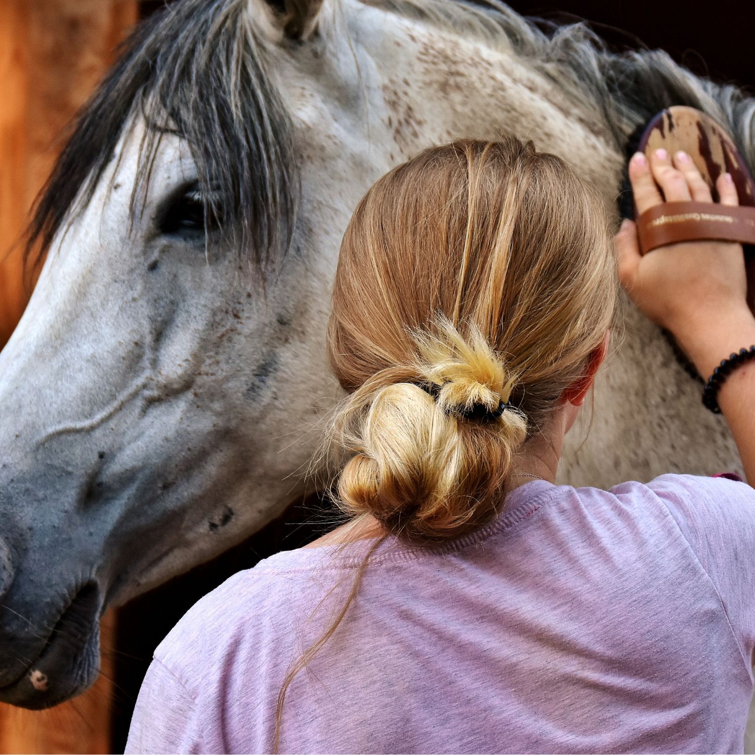 Organic Neem Oil Equestrian Range